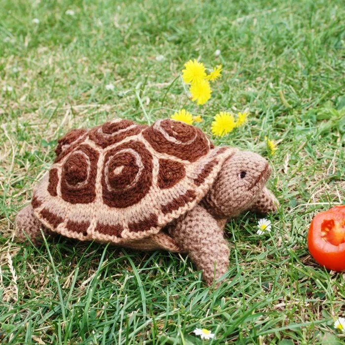 Связанная черепаха. Амигуруми. Вязаные игрушки черепаха. Связанная черепаха. Крючок "черепаха".