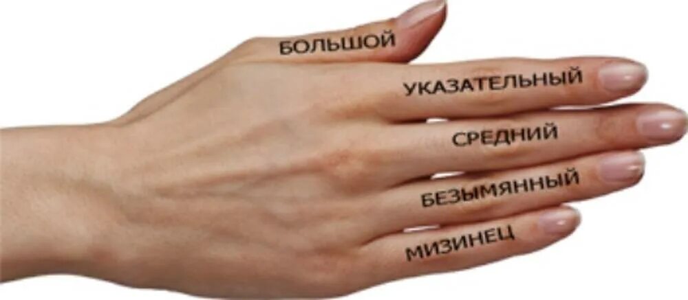 Какой палец после среднего