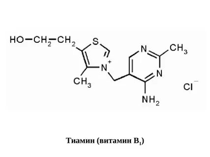 Тиамин витамин в1
