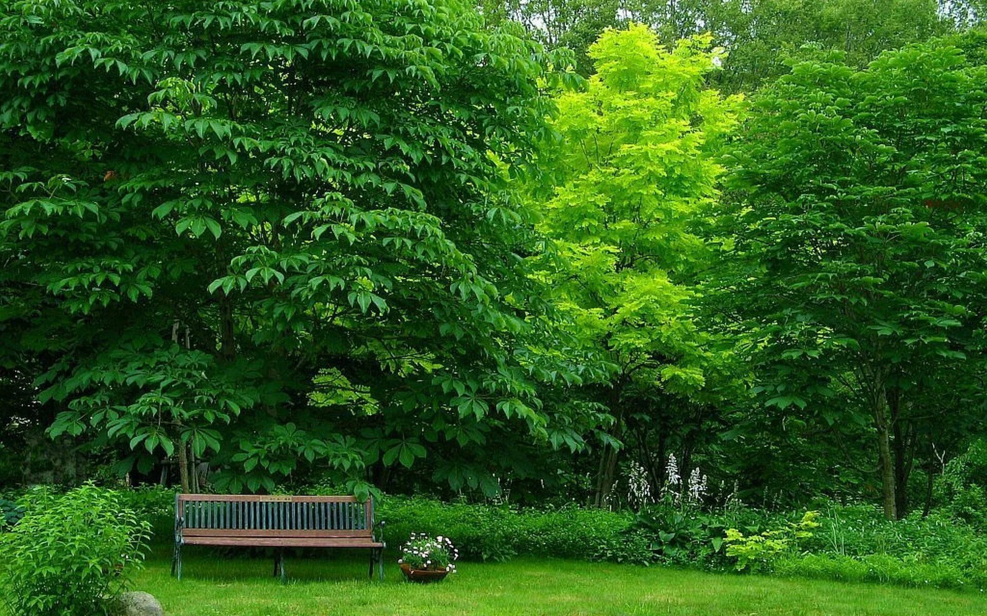 Tree array