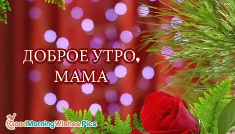 Картинки с добрым утром маме от сына