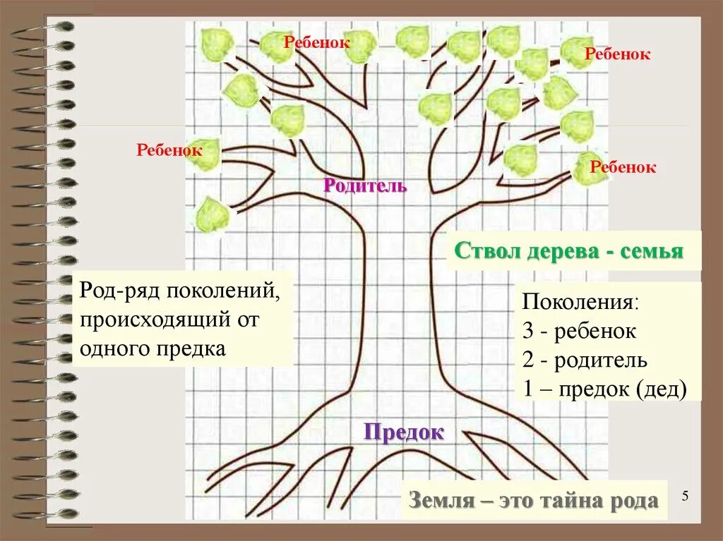 Древо часть 2