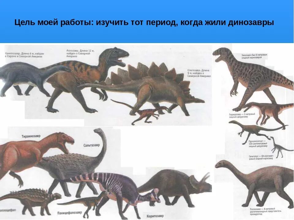 Где жили динозавры. Динозавры обитавшие в России. Где жили динозавры на земле карта. Динозавры жившие на территории России.
