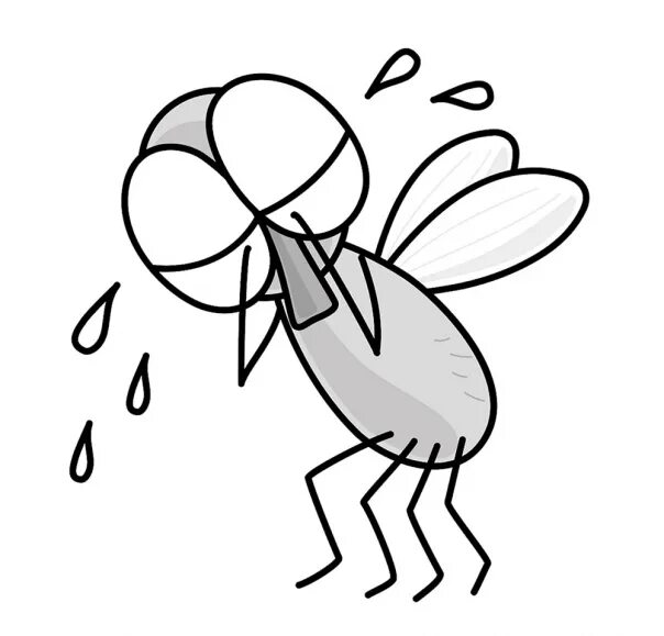 Муха раскраска для детей распечатать бесплатно Adorable Armadillo Free Coloring Pages Coloring Cool