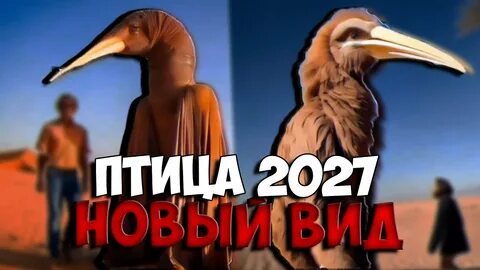 Мем из 2027