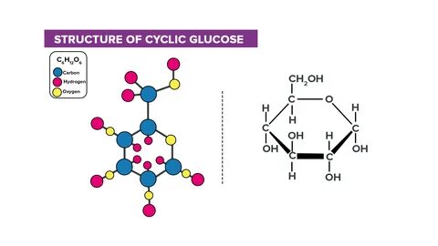 Glucose