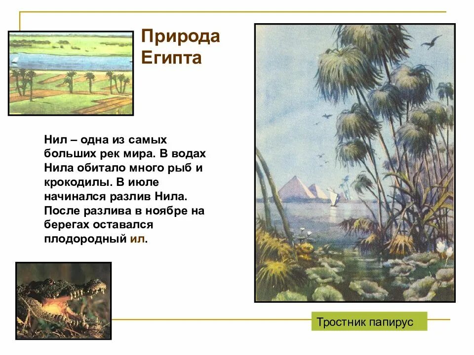 Природа египта 5 класс история. Разливы реки нил 5 класс. рассказ о разливах нила. разливы нила в древнем египте кратко. когда начинается разлив нила.