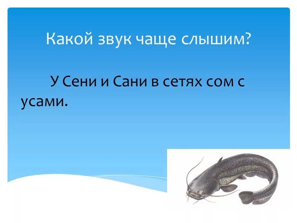 У сони и сани сом с усами. Многоговорки для детей. Русский язык 2 класс учебник упражнение 196. В сетях сом с усами скороговорка. Скороговорка у сени и сани в сетях сом с усами.