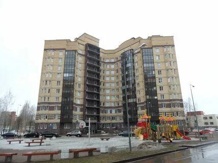 Сосновый бор петра великого