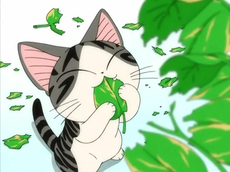 Chi animation