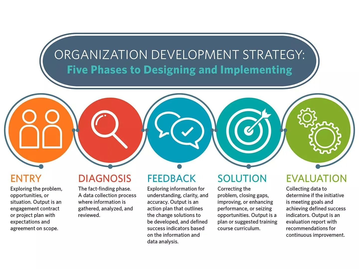 Test organization. Organization development. organizational strategy. organizational design strategy. training and development in organisations.
