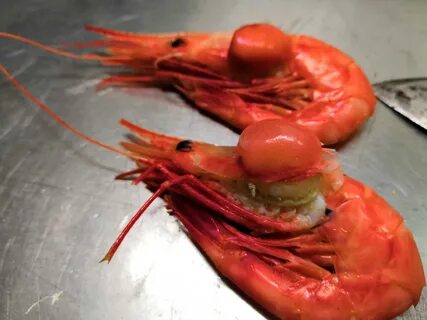 Креветки едят с кишечником