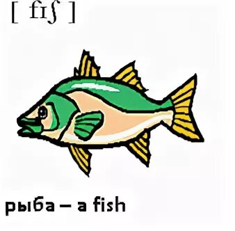 Английские слова рыба. Рыба по английскому транскрипция. Рыба на англ с транскрипцией. Fish транскрипция. Транскрипция английских слов рыба.