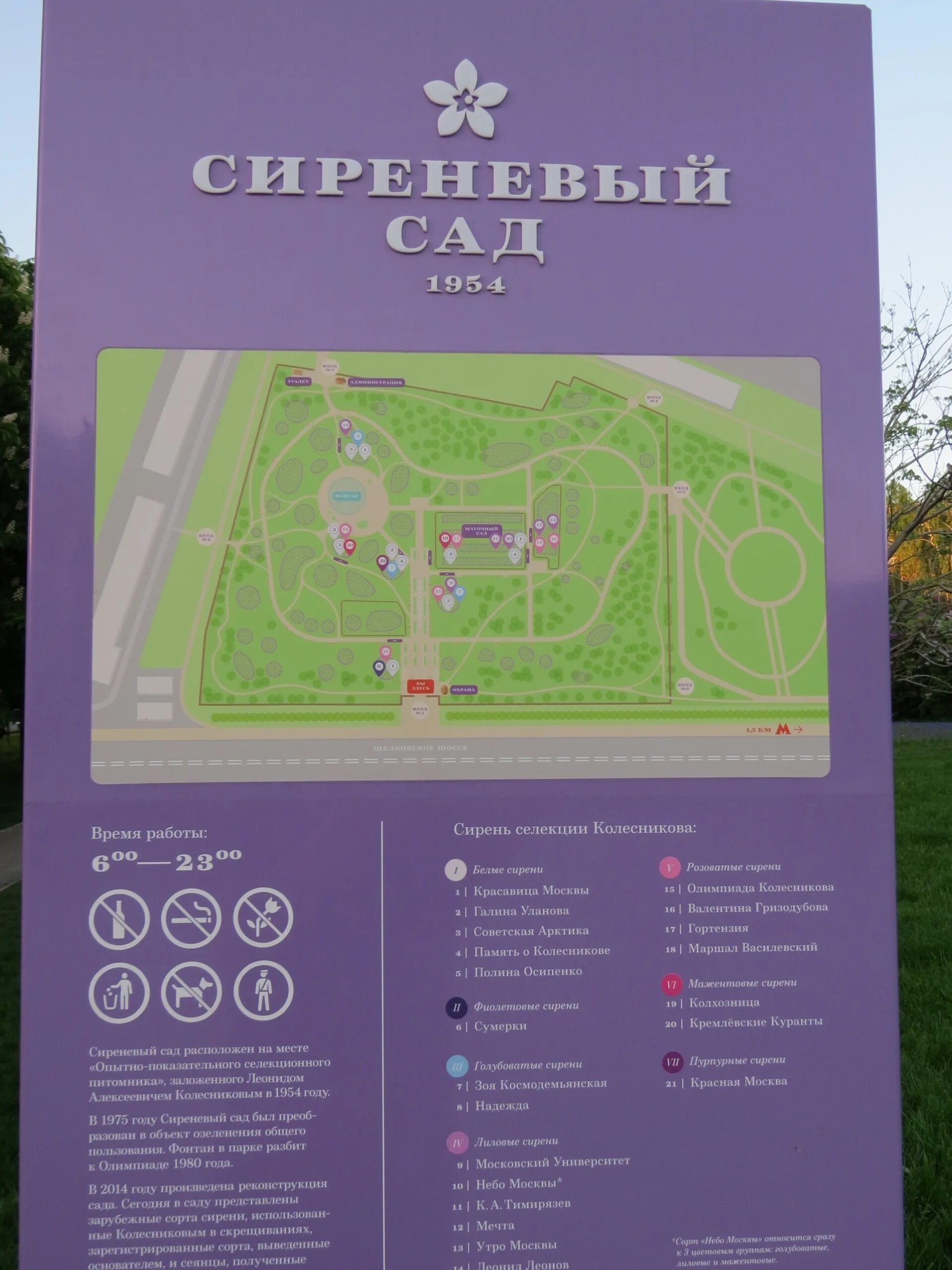 Сиреневый сад москва как добраться на метро. Сиреневый сад в москве измайлово.