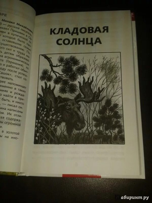 Книга кладовая солнца читать. Книжка пришвин кладовая солнца. Кладовая солнца Михаил пришвин книга. Кладовая солнца(Михаил пришвин) иллюстрации книга. Кладовая солнца бар меню.