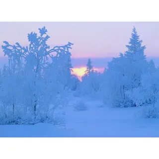 Северный мороз