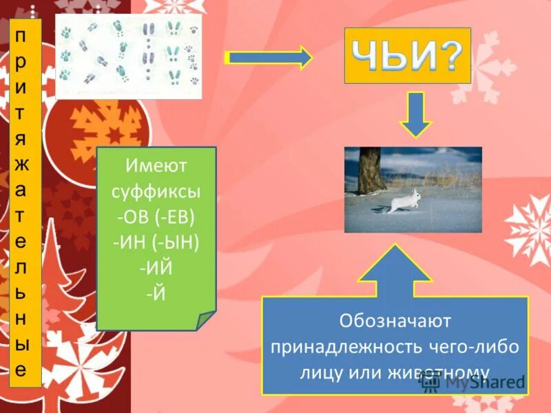 обозначают принадлежность чего либо лицу или животному