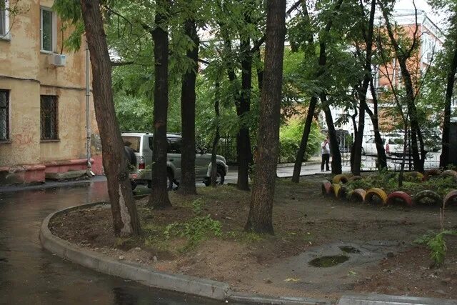 Дворах прошло всего его