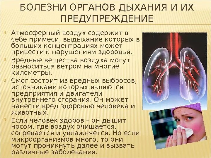 Структура заболеваний органов дыхания. Профилактика заболеваний органов дыхания. болезни органов дыхания и их предупреждение. сообщение о заболеваниях органов дыхания. болезни органов дыхания и их профилактика.