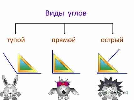 Какие бывают уголки