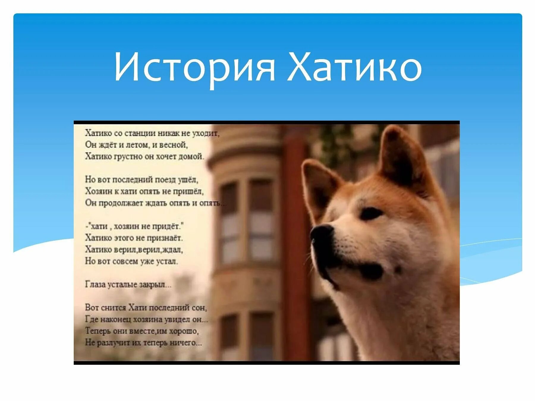 Почему хатико. Рассказ о собаке Хатико. Хатико реальная собака. Хатико самый верный друг памятник. Хатико история собаки.