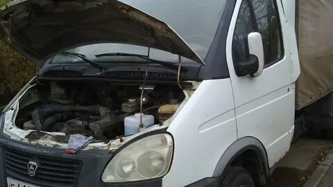 Отзыв газель штайер