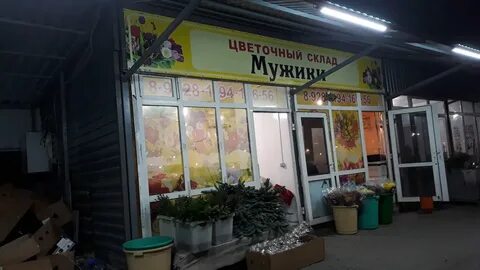 Береговая цветочные