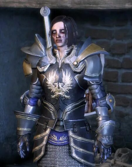 Dragon age доспехи серых стражей. Серый страж герой ферелдена. Драгон эйдж ориджин серый страж. Dragon age 1 серый страж. Dragon age inquisition доспех серого стража.