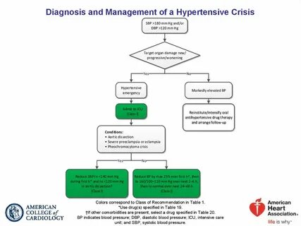 Diagnosis and management
