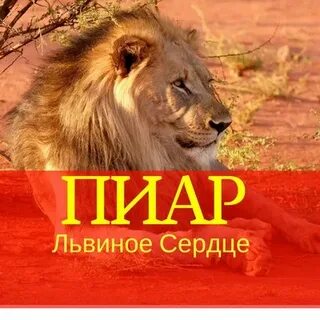 Львиное минус