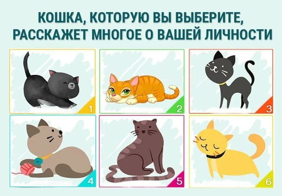 Кошки подобрать слово