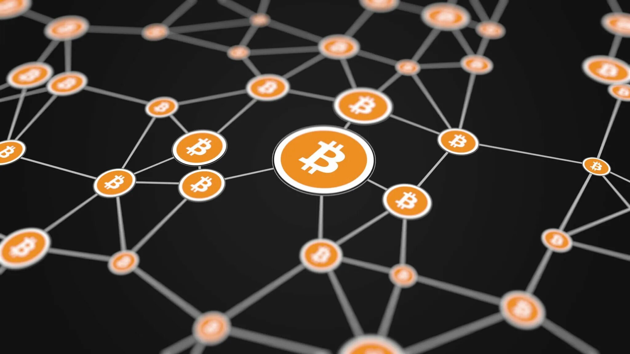 Network крипта