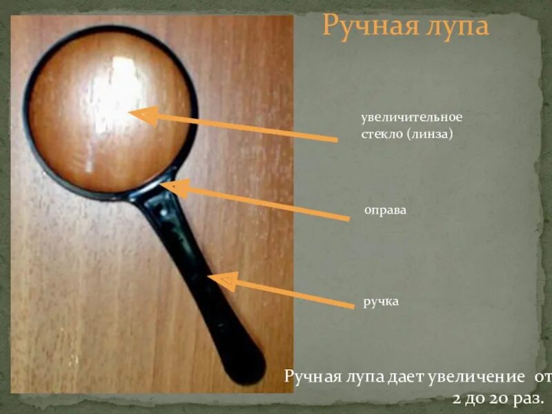 Лупа на 2,5 раза увеличения. Увеличение на 20 %. Лупа это собирающая линза. Какое увеличение дает ручная лупа. Измерить увеличение лупы.