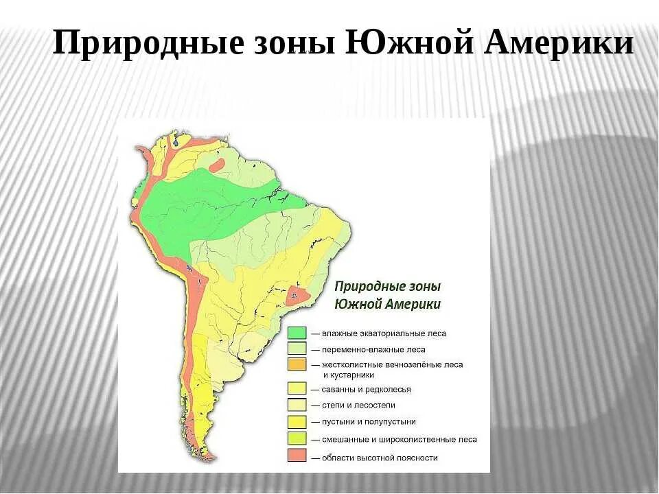 Какая природная зона занимает большую часть материка. Природные зоны Южной Америки 7 класс география. Природные зоны Южной Америки 7 класс. Климатическая карта Южной Америки с природными зонами. Карта природных зон Южной Америки 7 класс география.