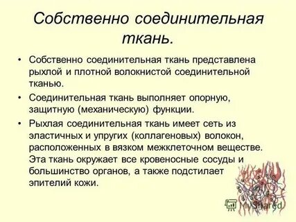 Какая ткань выполняет защитную структурообразующую и трофическую