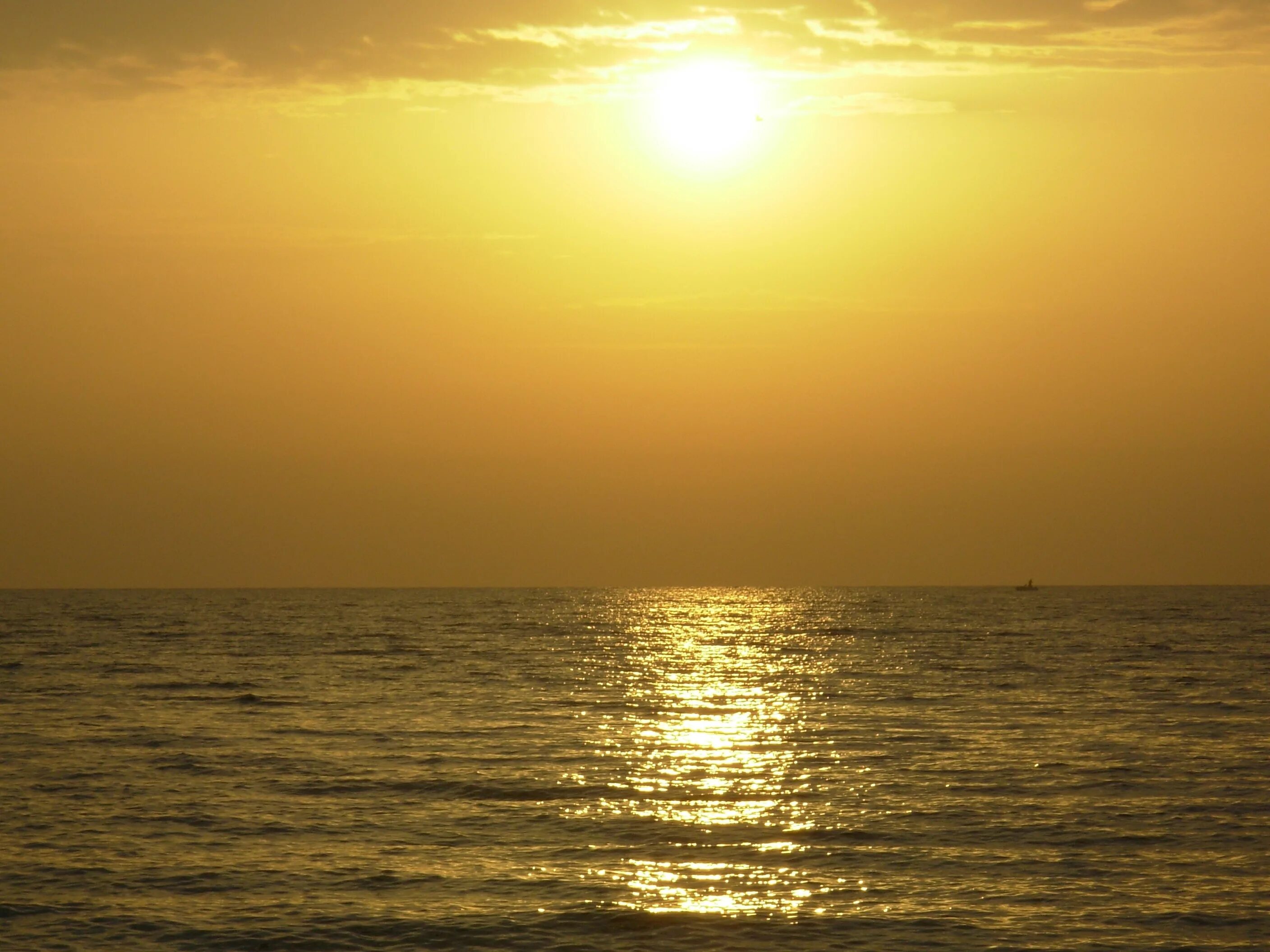 Солнце появилось из за горизонта. Восход на море. Море солнце. Рассвет на море. Восход солнца на море.