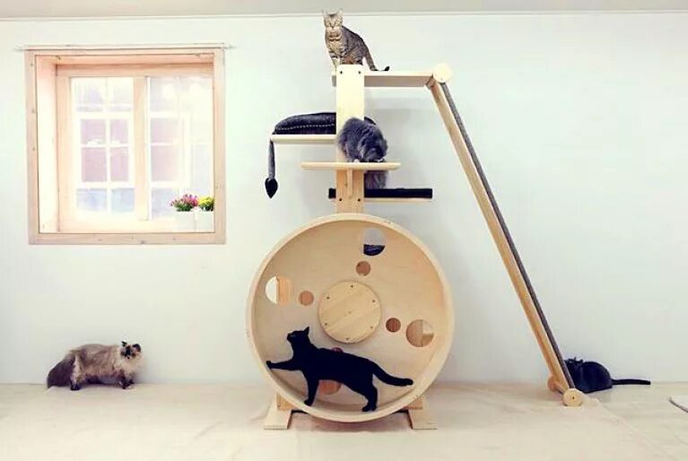 Развлечения для котов. Домик для кошек. Креативные домики для кошек. Современные домики для кошек. Домик для кошки на стене.