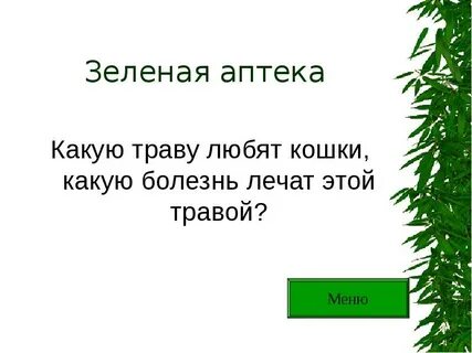 Какую траву любят