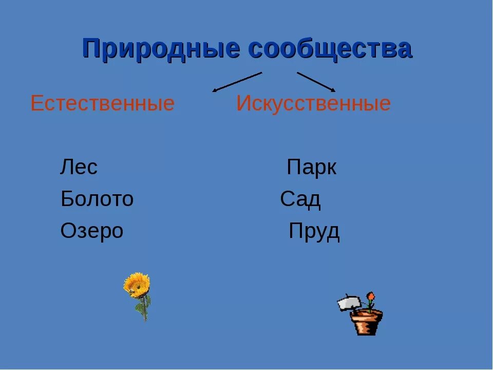 Распредели по группам положительные отрицательные. Искусственные природные сообщества. Природное сообщество окружающий мир. Природные сообщества 3 класс. Естественные и искусственные природные сообщества.