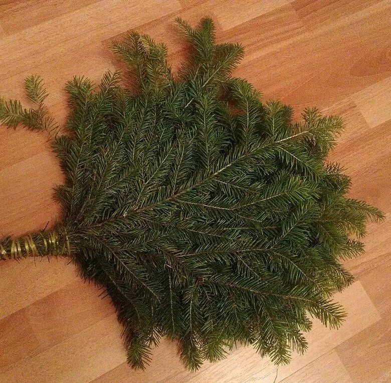 пихта 2 веника. веник из пихты. можжевельниковый веник. веник из пихты.