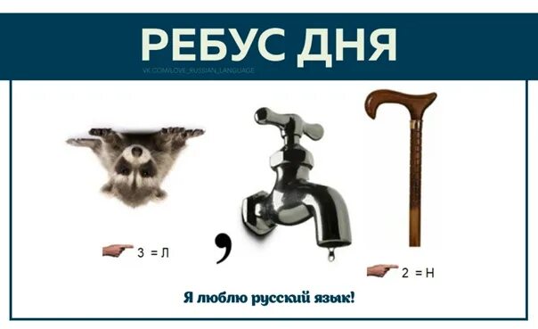 Ребус енотом. Ребус кран. ребус енот. ребусы перевертыши. перевернутые ребусы.