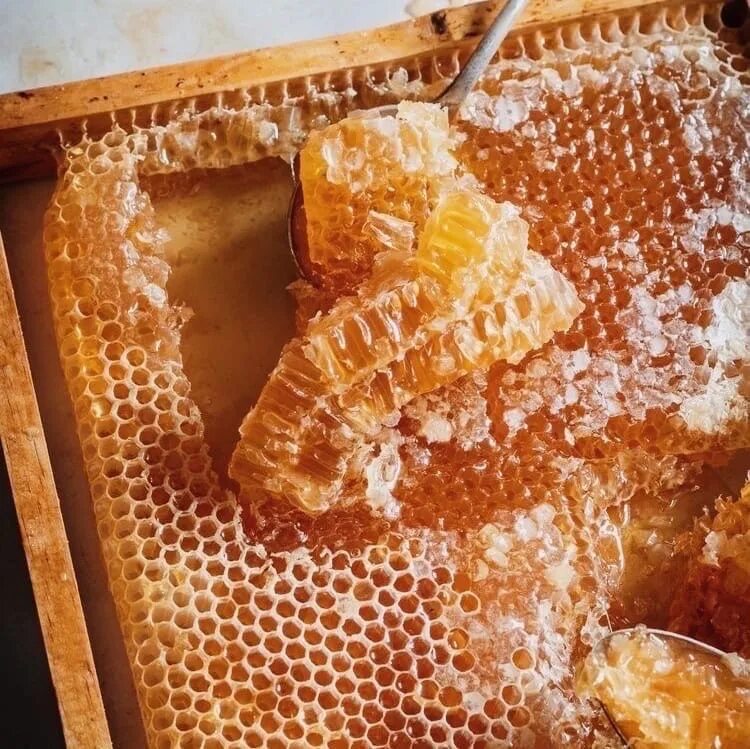 Можно есть соты с медом. Мёд в сотах. Десерт медовые соты. Медовые соты печенье. Мед в сотах сосульки.