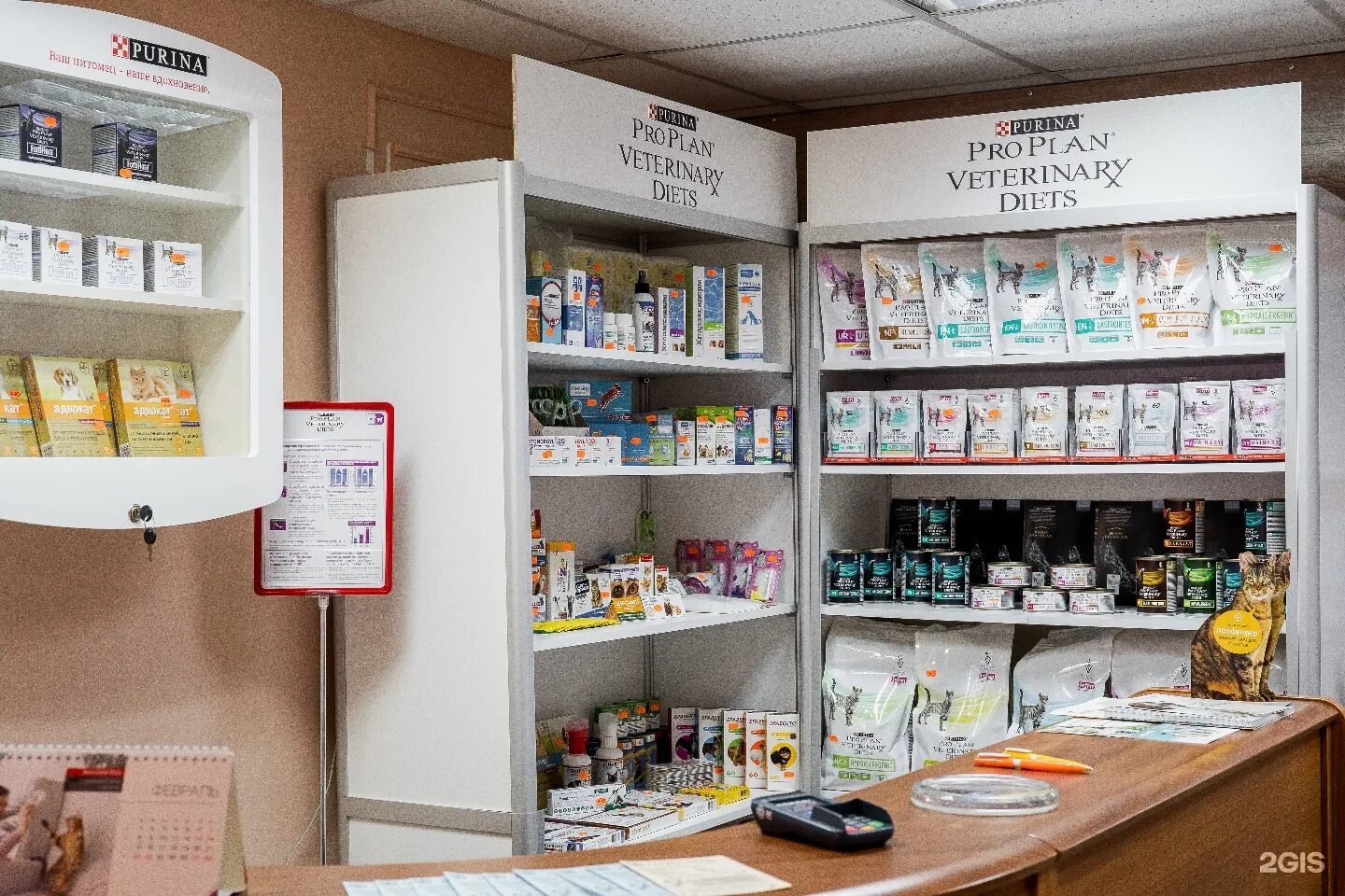 доктор зоо глазов буденного. доктор зоо нижний новгород плотникова 3. ветеринарная аптека нижний новгород. ветаптека на ломоносова великий новгород. нижегородская ветеринарка.