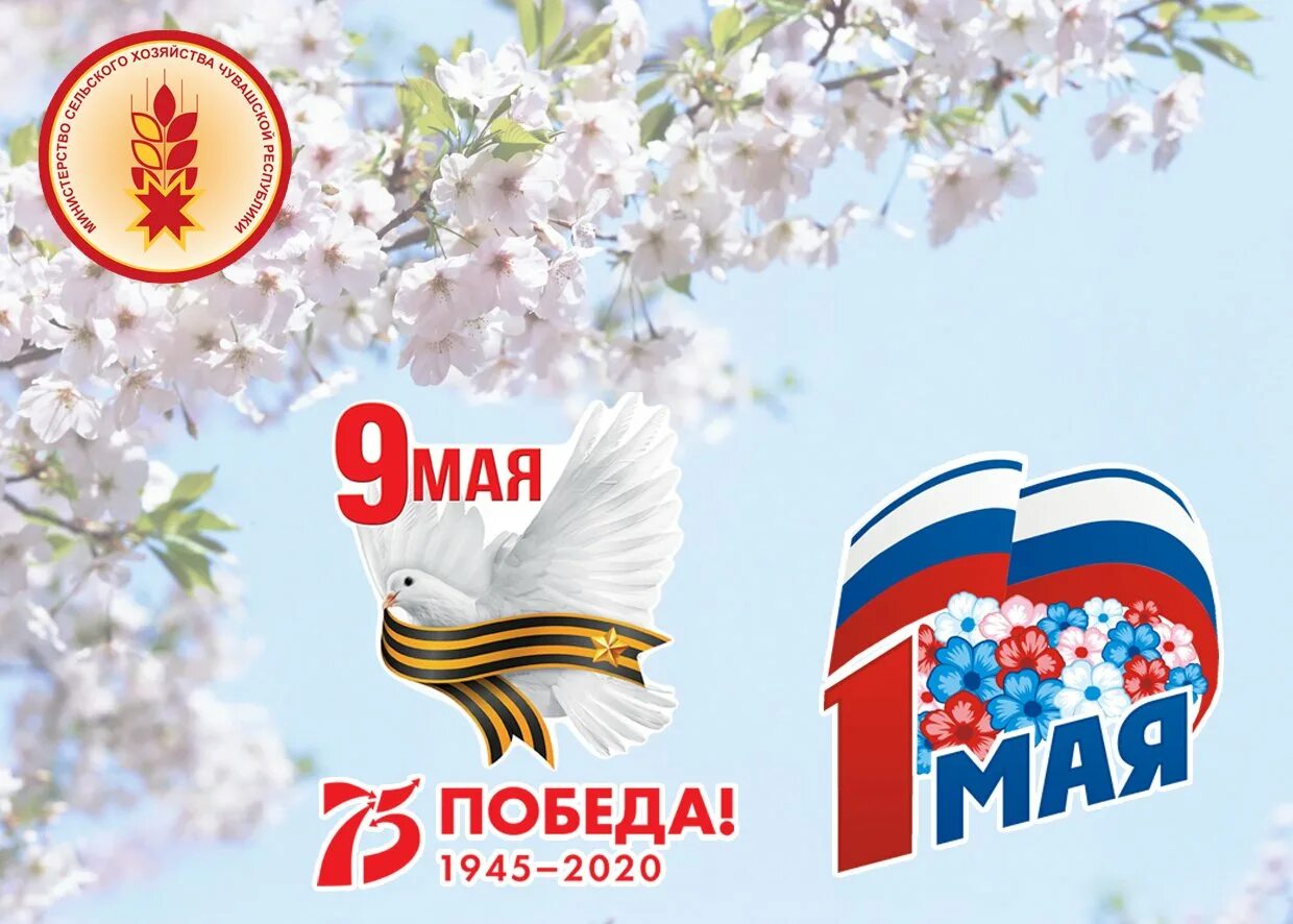 Мир труд победа. Открытки с первомаем. Мир труд победа. 1 мая и 9 мая открытка. Мир труд победа.