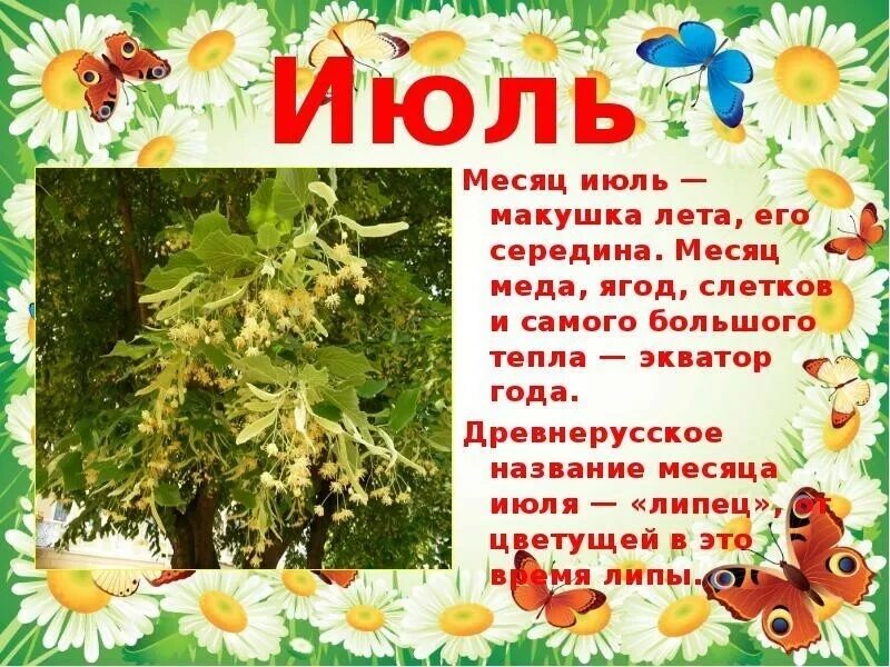 Летние месяцы. Июль месяц. Здравствуй июль стихи. Июль середина лета
