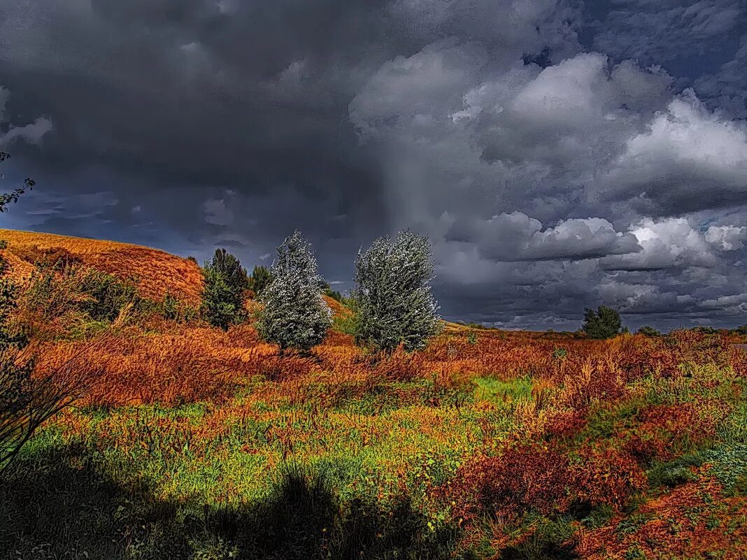 Брянский лес лесостепь. Оренбургские степи. Степь осенью ростовская область. Сентябрь в степи. Степь поздней осенью.