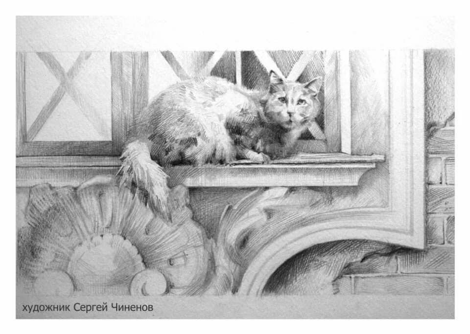 Кот в эрмитаже рисунок. Коты эрмитажа в блокаду. эрмитажные коты блокадный ленинград. кошки эрмитаж в блокадном ленинграде. картина в эрмитаже с котом.