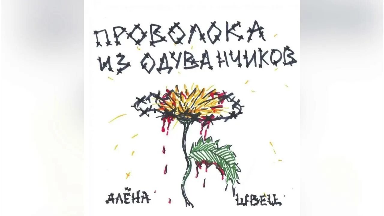 Альбом Алёны Швец проволока из одуванчиков. Обложка альбома Алены Швец проволока из одуванчиков. Одуванчик с альбома Алены Швец.