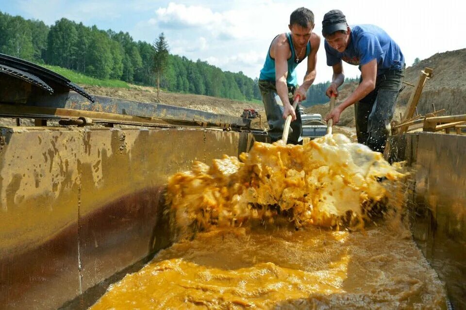 Золото в реках россии. Маслянино золотодобыча Артель Суенга. Артель старателей СИБЗОЛОТО. Старательская Артель золотые прииски. Старатели добыча золота.