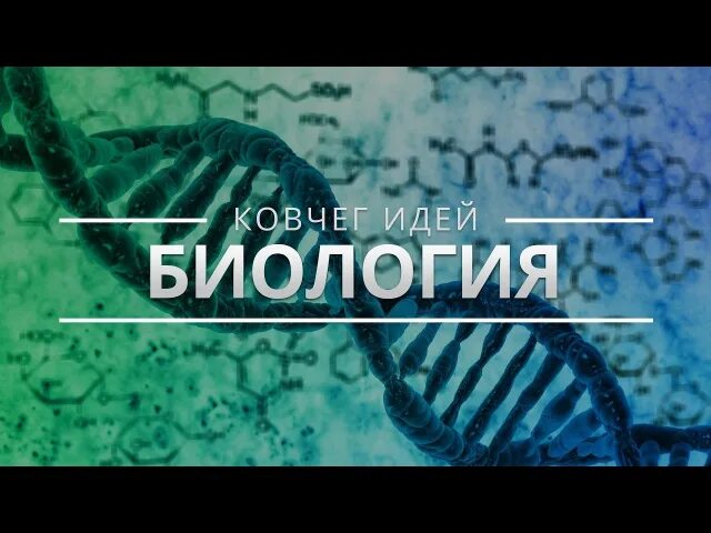Ковчег знаний. Ковчег знаний